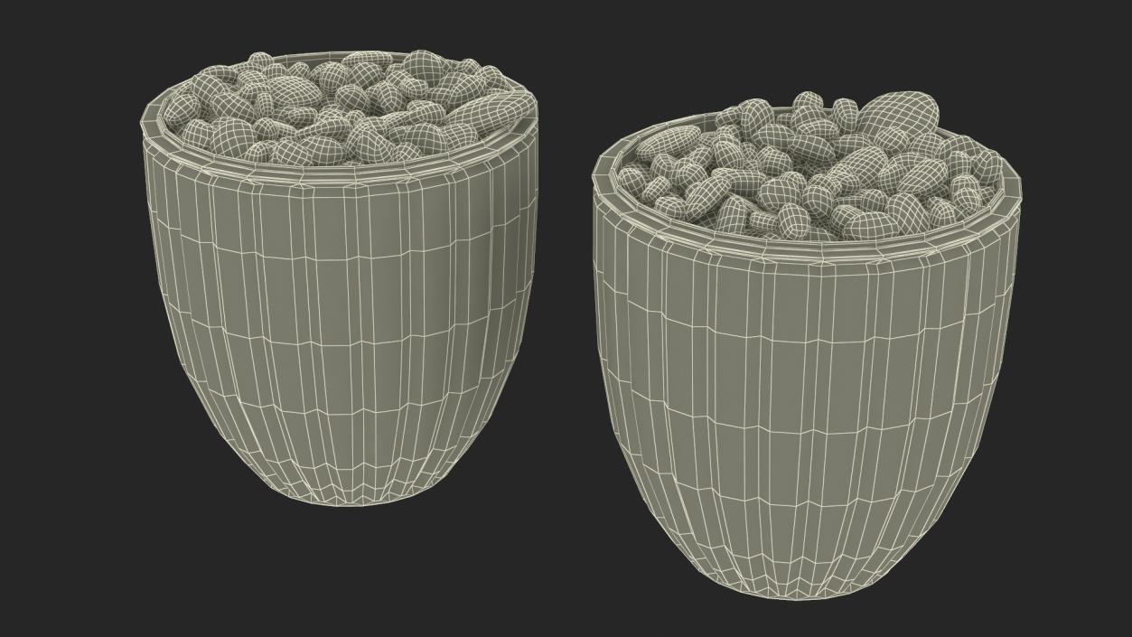 3D model Planter with Pebbles