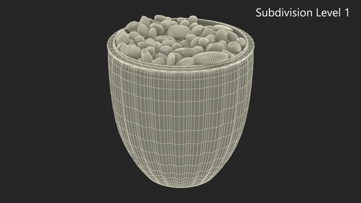 3D model Planter with Pebbles