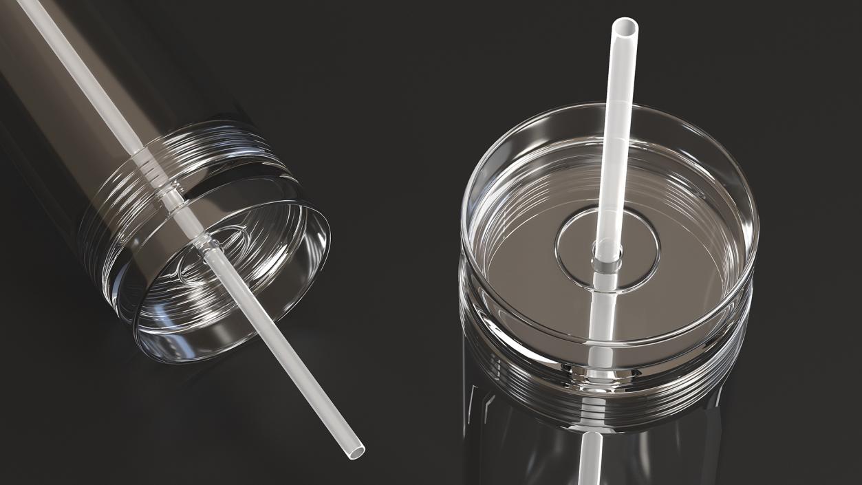 3D model Clear Acrylic Tumbler with Lid and Straw