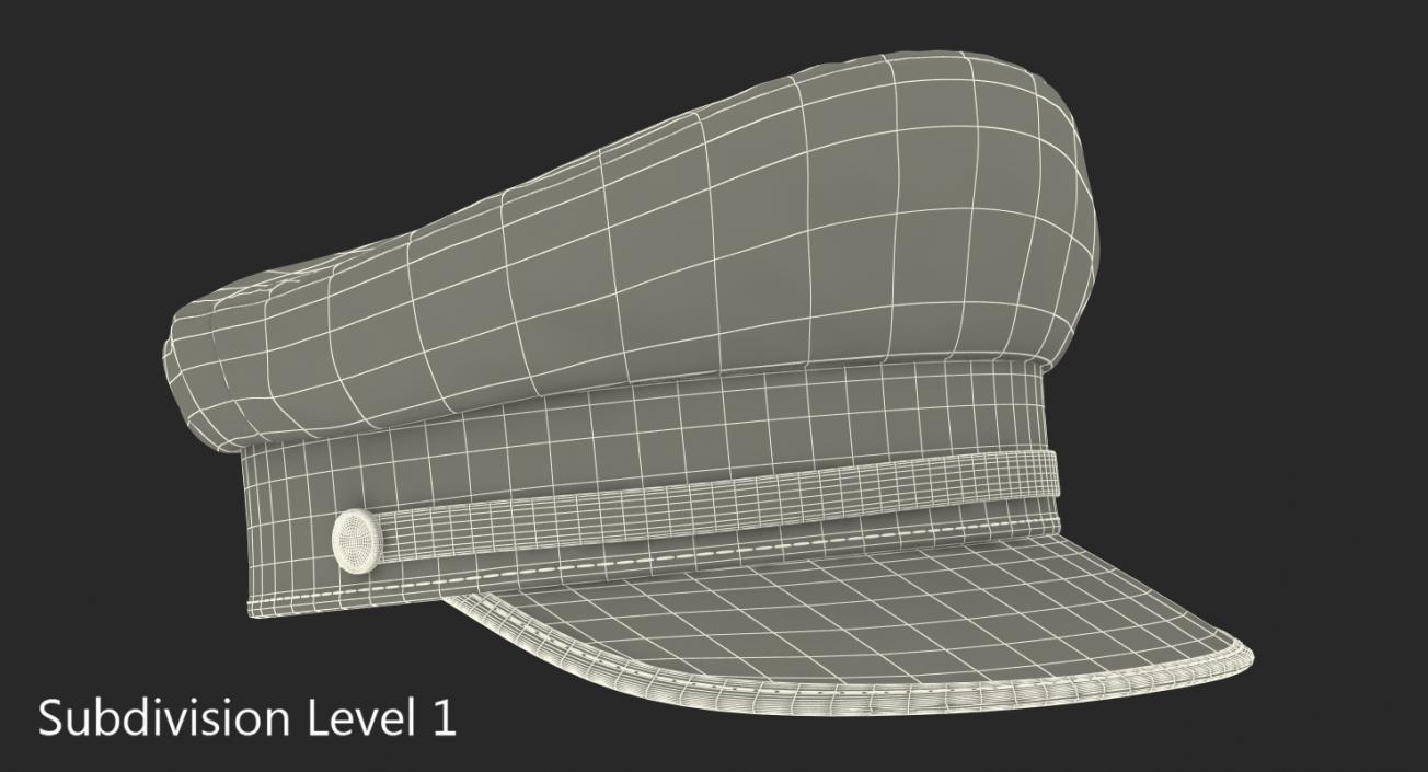 3D model Airline Captains Cap