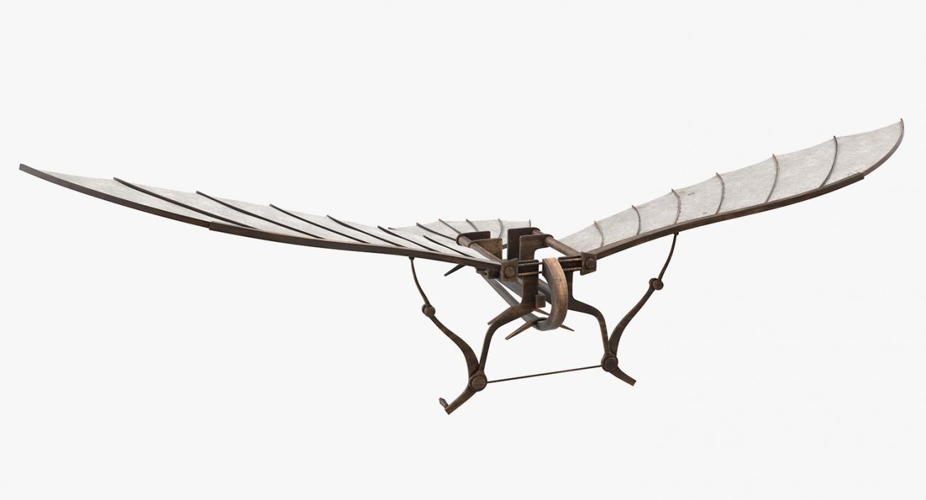 Leonardo da Vinci Glider 3D model