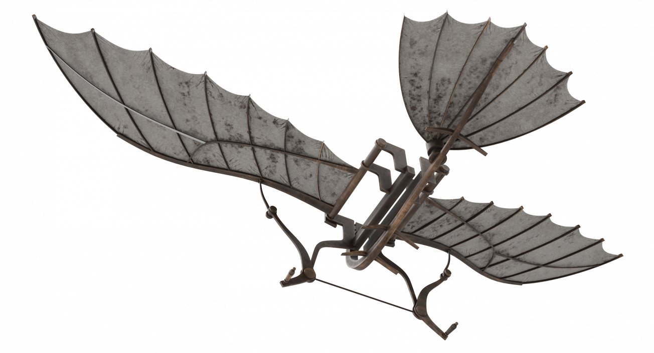 Leonardo da Vinci Glider 3D model