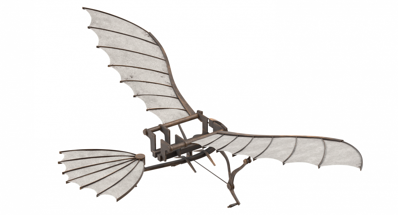 Leonardo da Vinci Glider 3D model