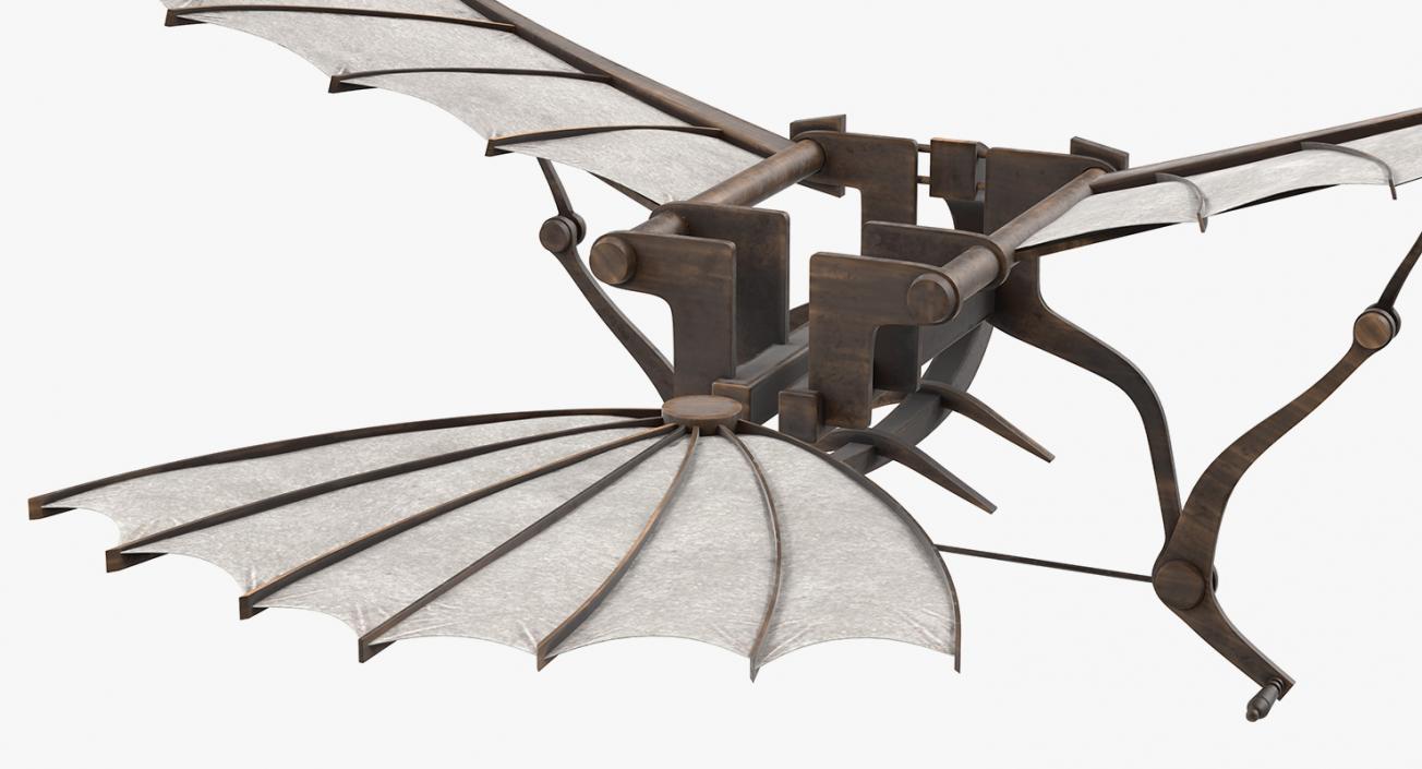 Leonardo da Vinci Glider 3D model