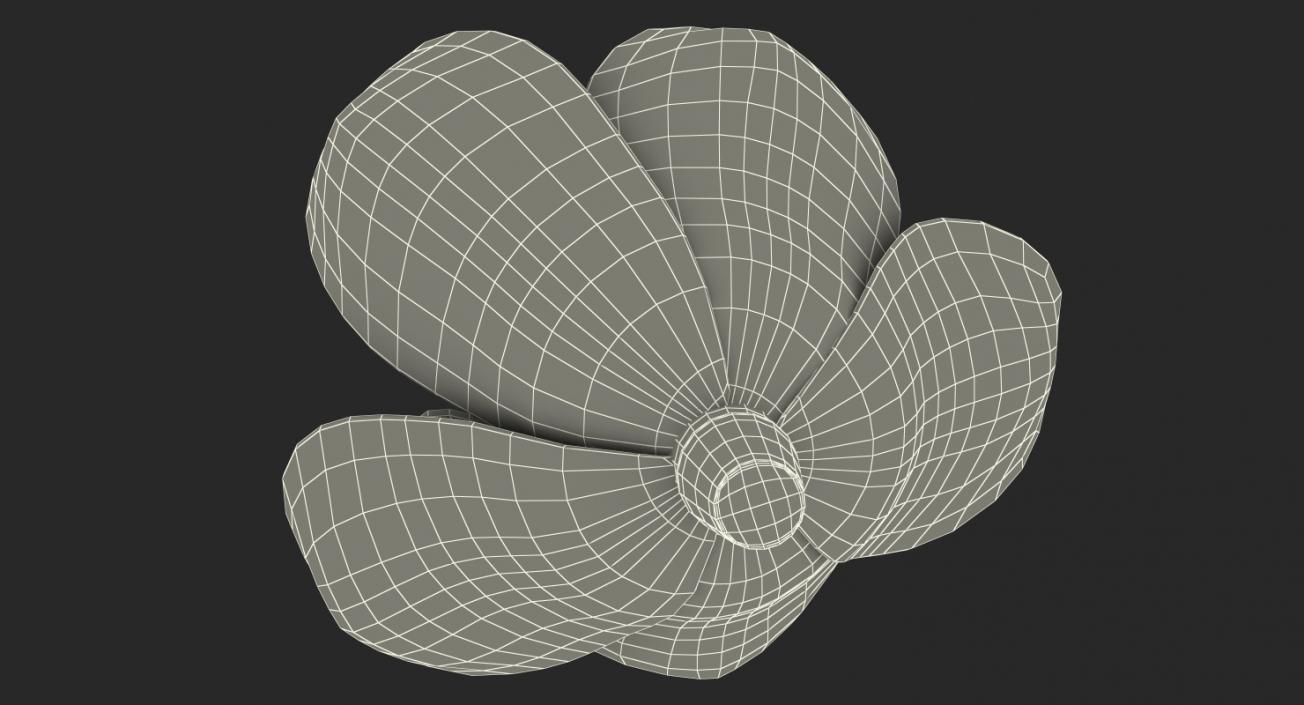 3D model Magnolia Flower