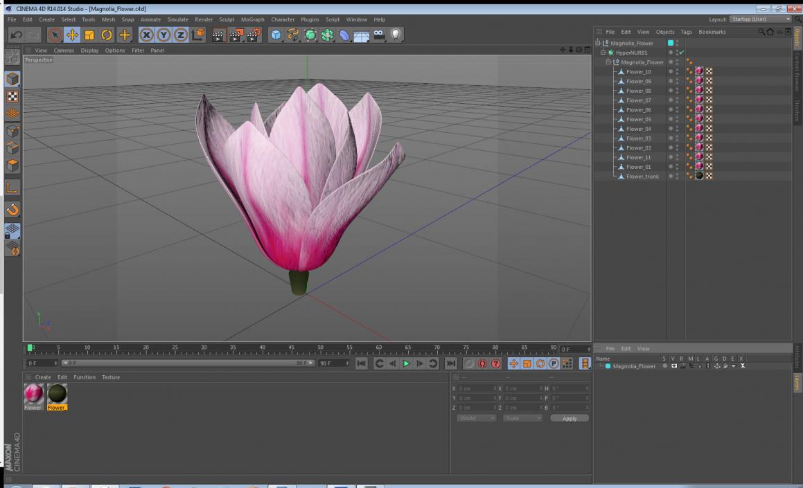 3D model Magnolia Flower