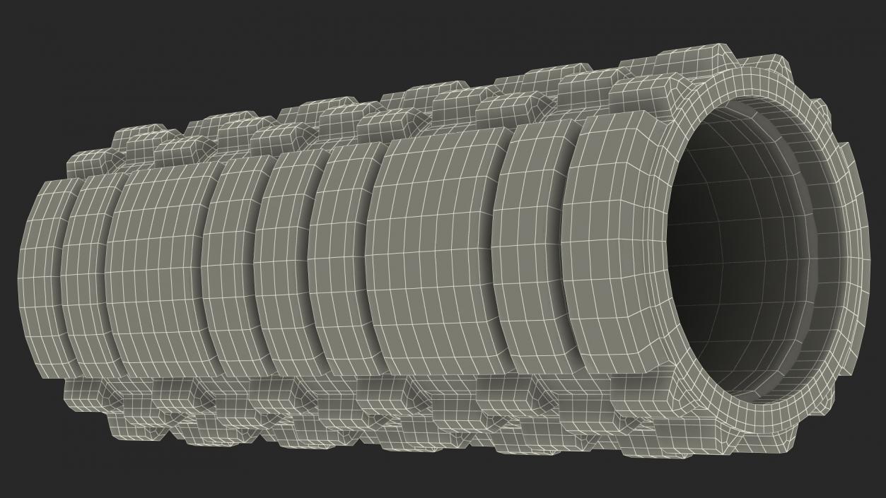 Massage Foam Roller 3D model