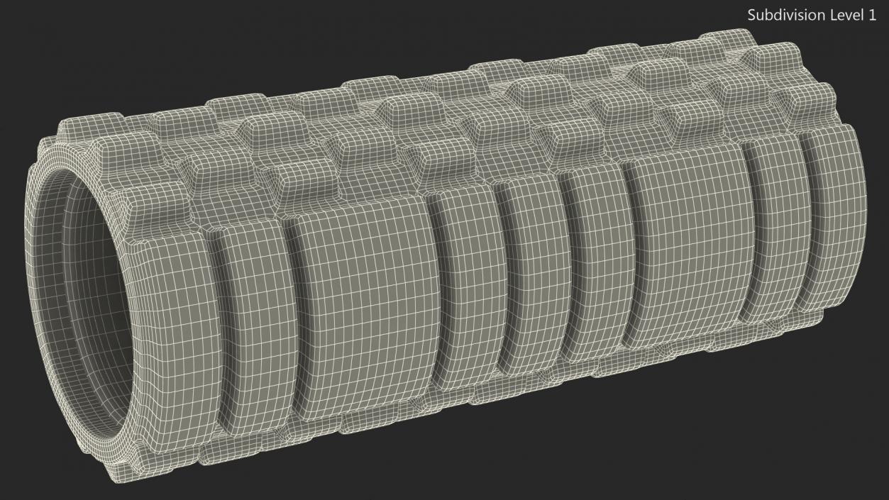 Massage Foam Roller 3D model