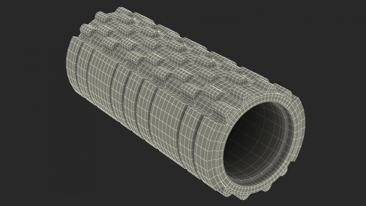 Massage Foam Roller 3D model