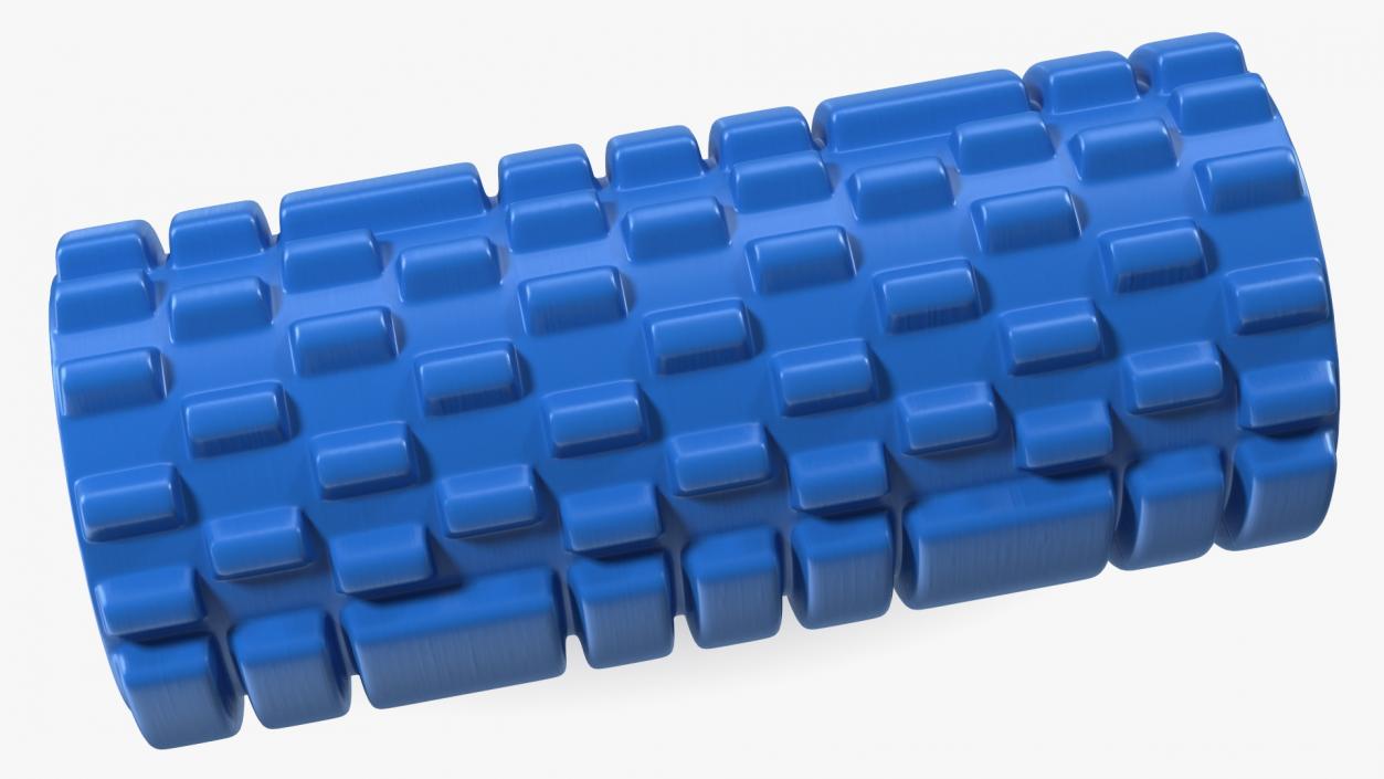 Massage Foam Roller 3D model