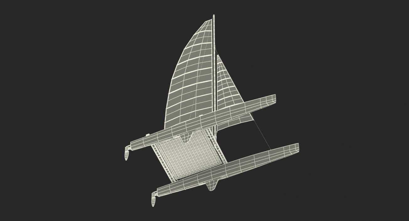 International A Class Catamaran Generic 3D model