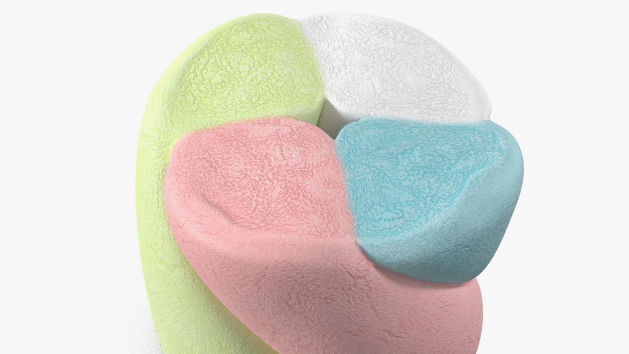 Shaped Marshmallows Collection 6 3D