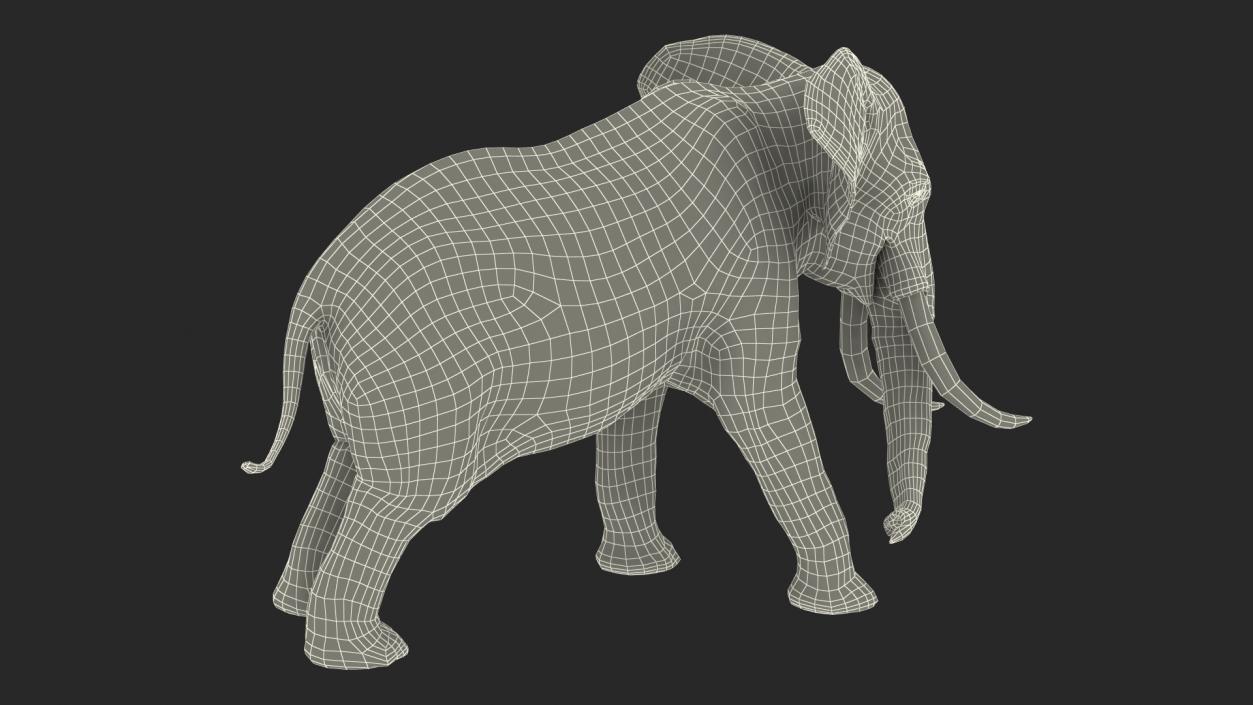 3D Animated Elephant Agressive Move Fur Rigged model