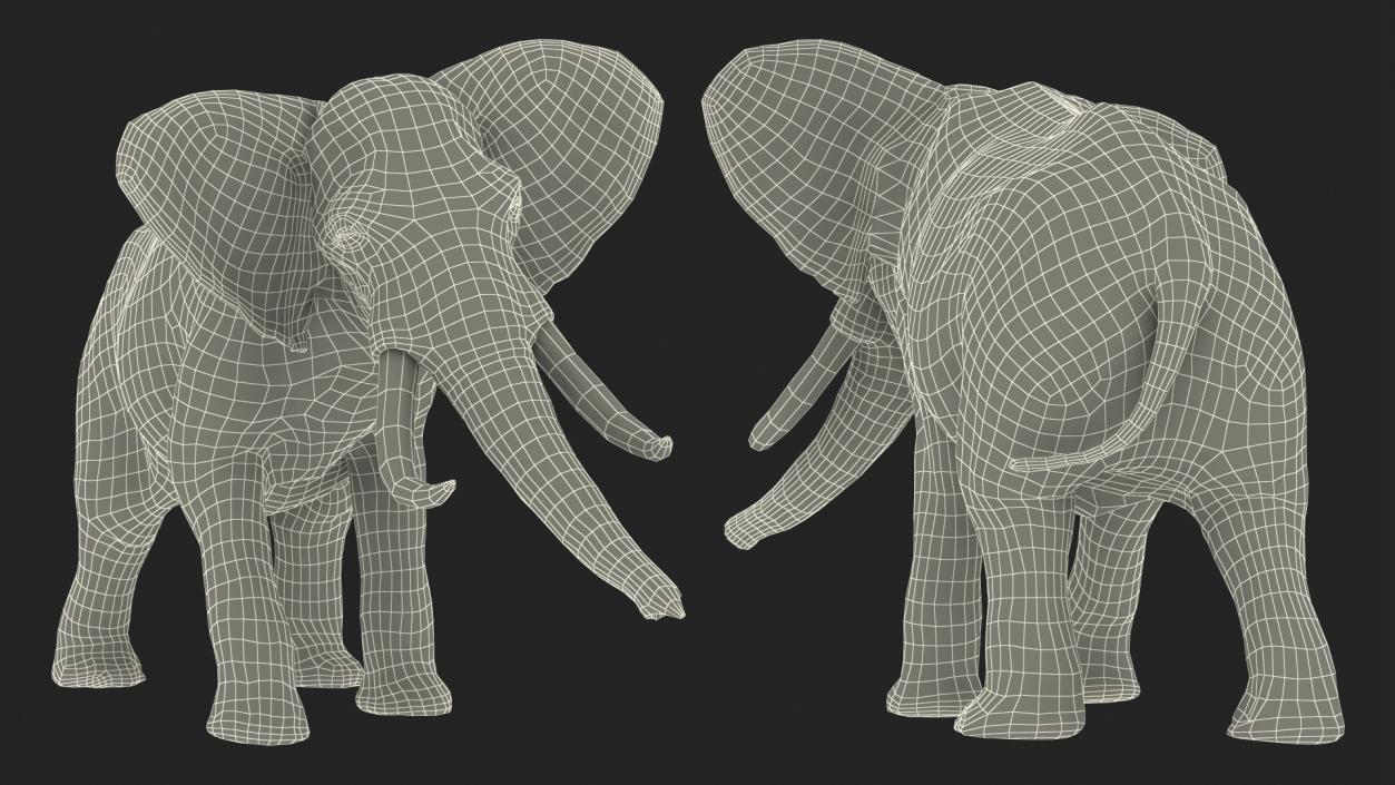 3D Animated Elephant Agressive Move Fur Rigged model