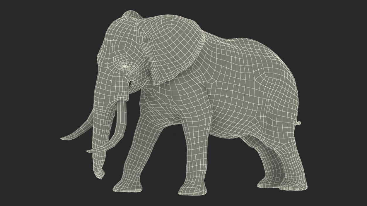 3D Animated Elephant Agressive Move Fur Rigged model