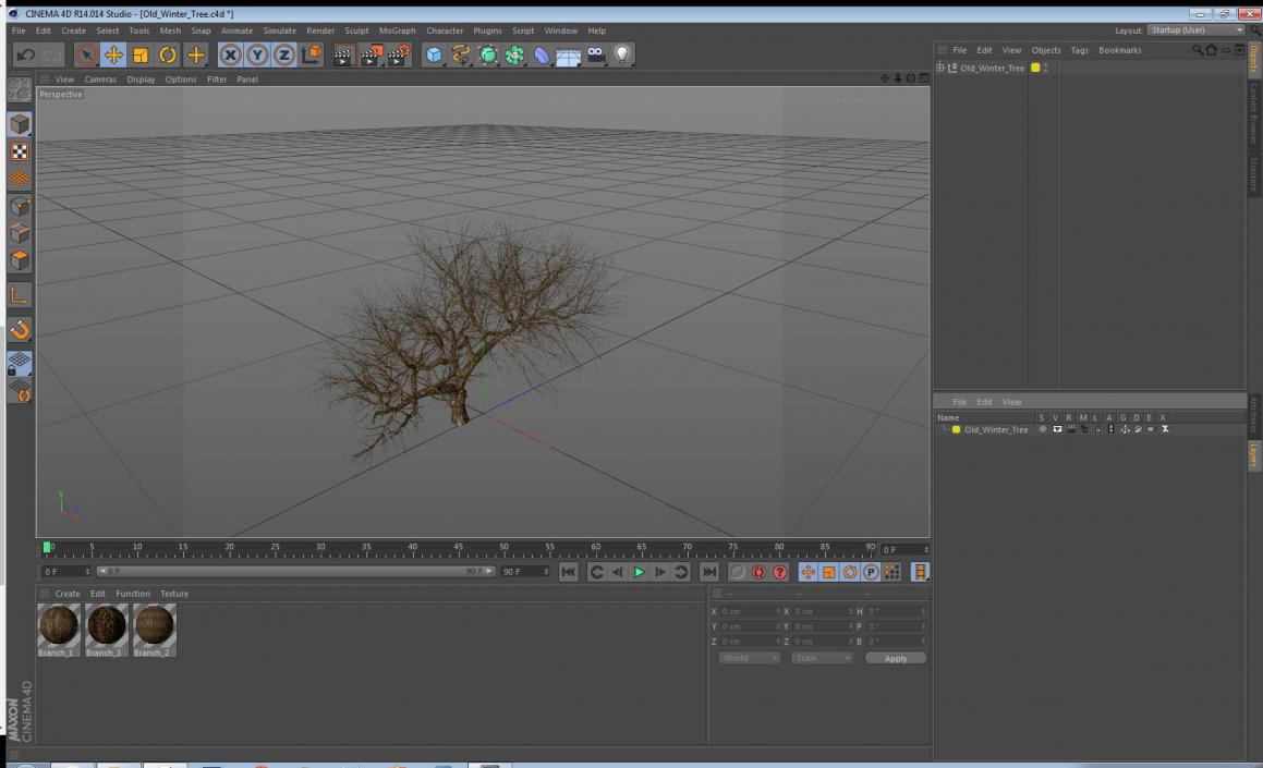 3D model Old Winter Tree