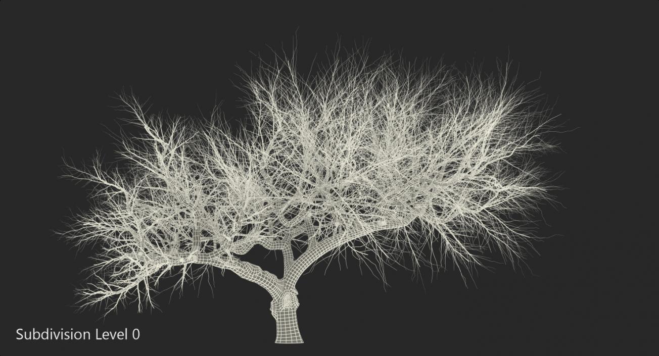 3D model Old Winter Tree