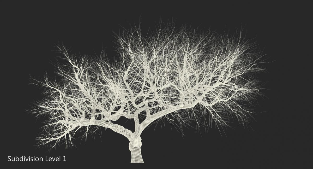 3D model Old Winter Tree