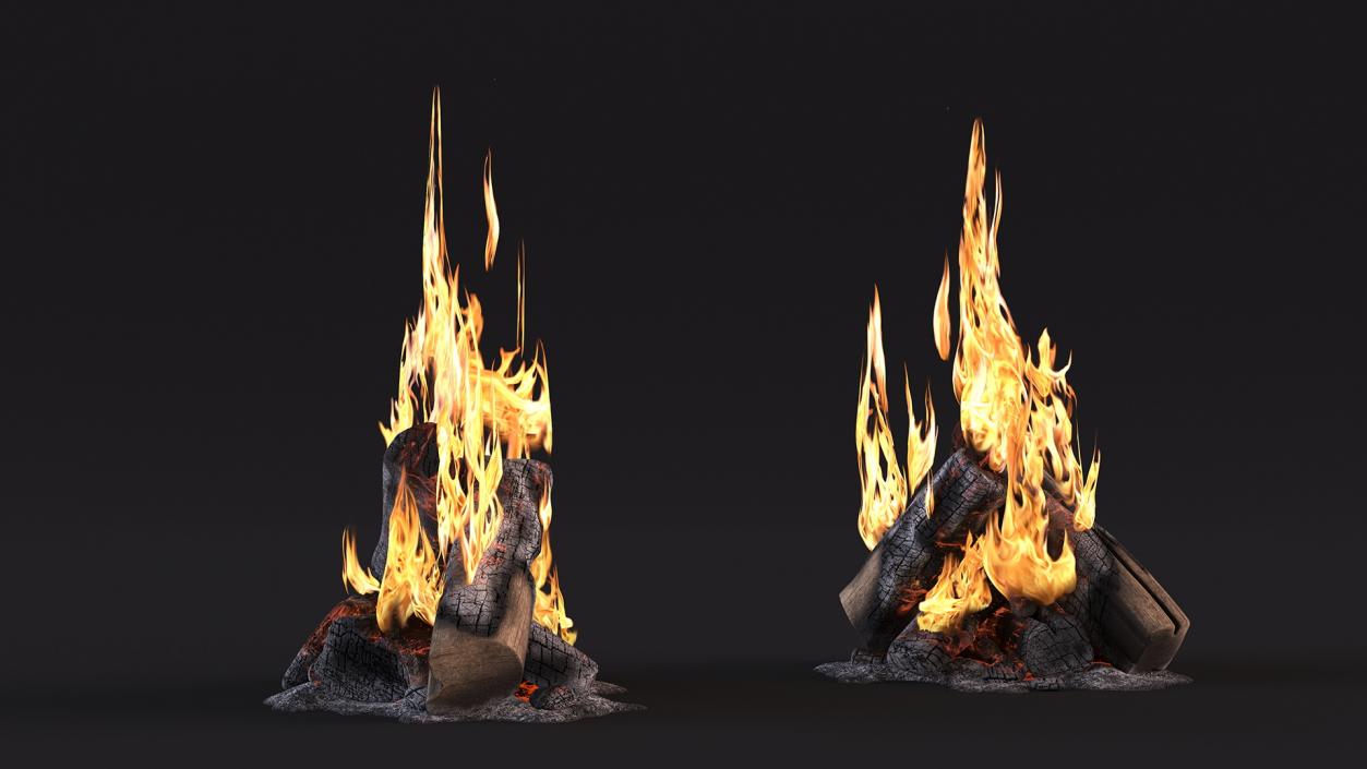 3D model Campfire with Flames