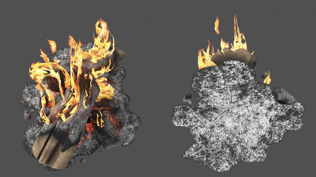 3D model Campfire with Flames