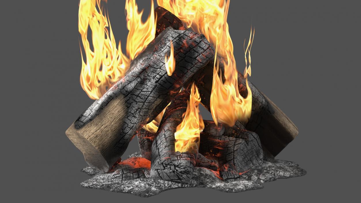 3D model Campfire with Flames