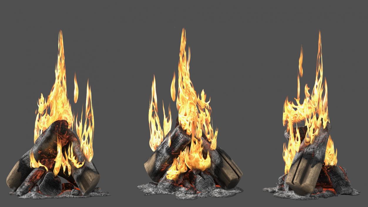 3D model Campfire with Flames