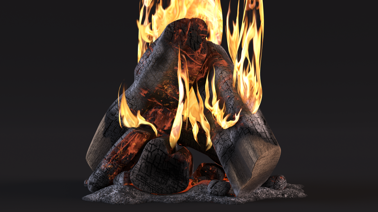 3D model Campfire with Flames