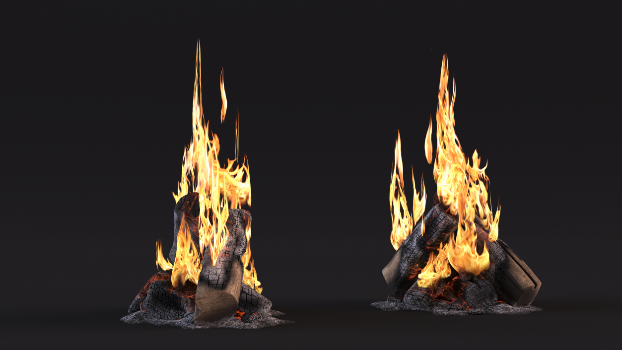 3D model Campfire with Flames