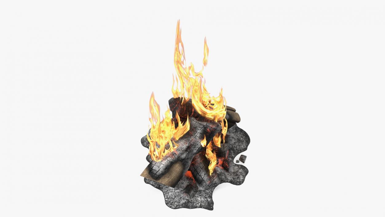 3D model Campfire with Flames