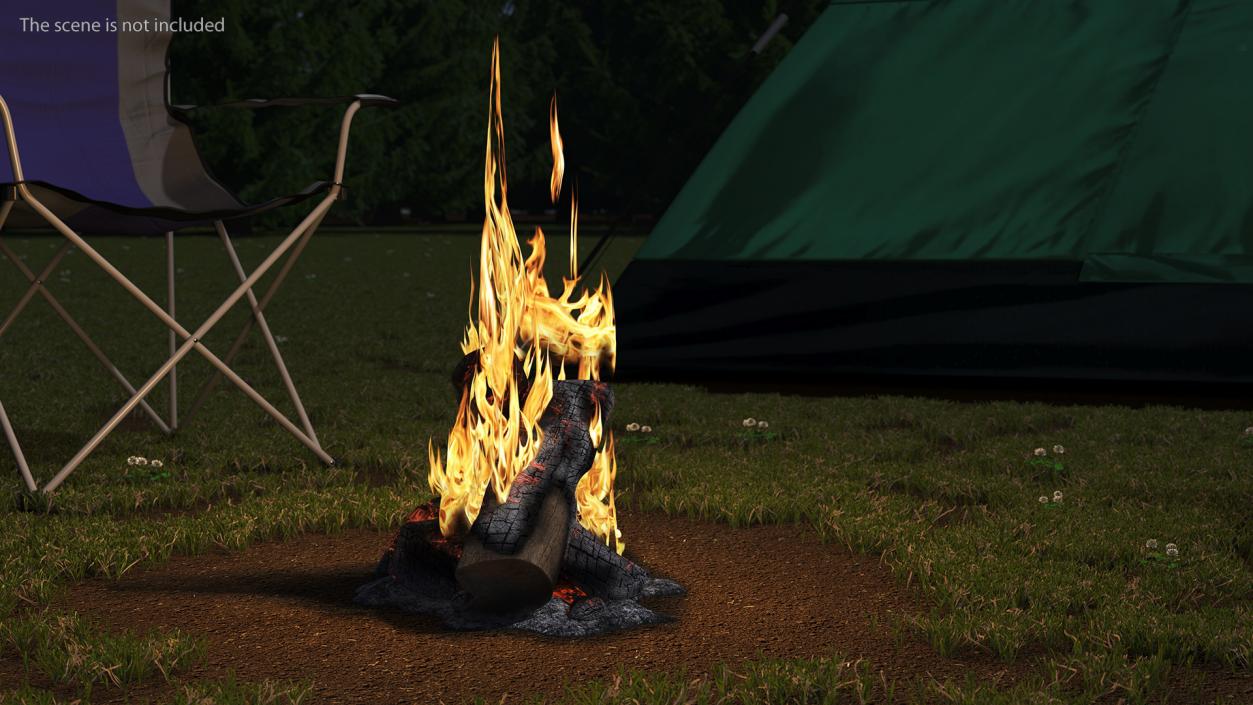 3D model Campfire with Flames