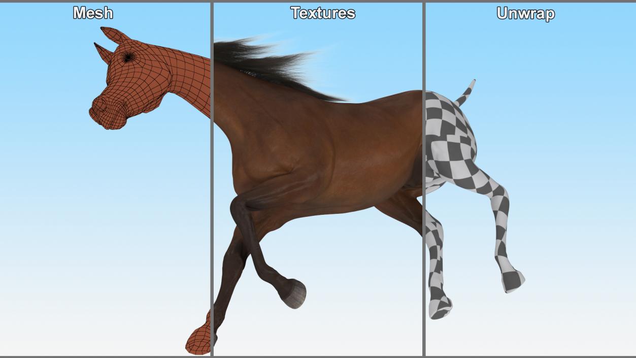 3D Galloping Arabian Horse Brown Fur model