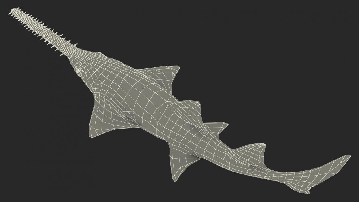 3D Sawfish Swimming Pose