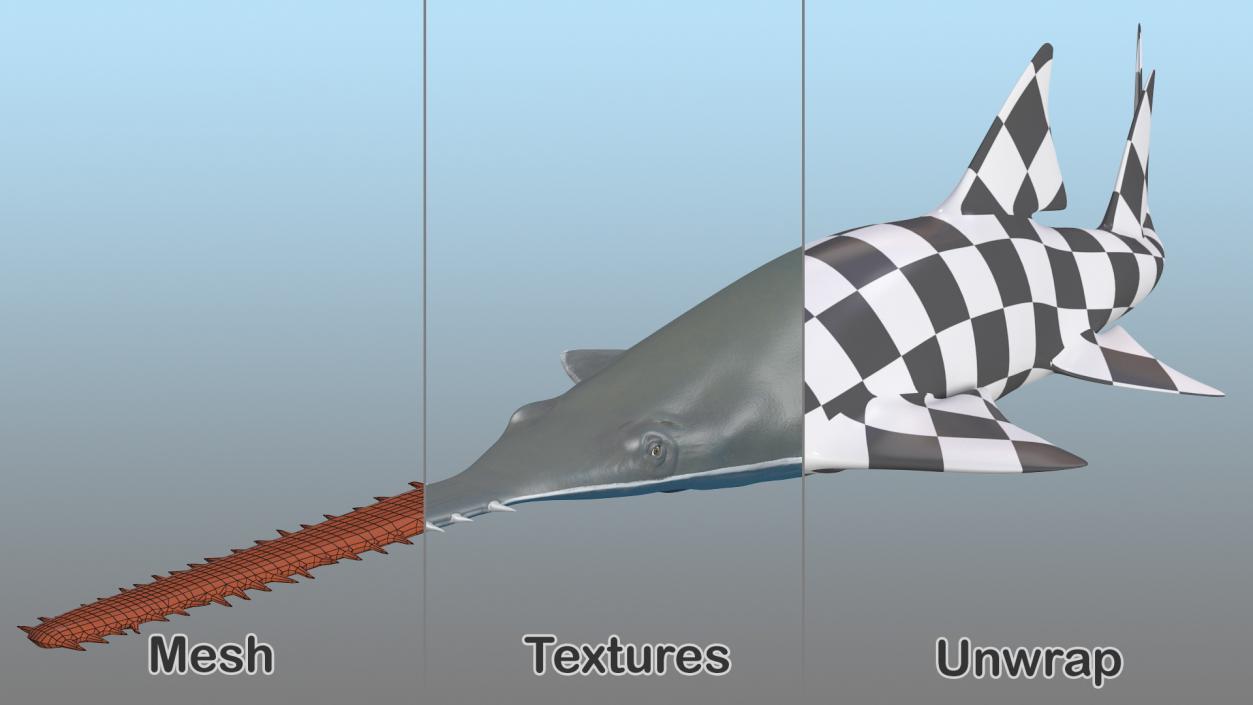 3D Sawfish Swimming Pose