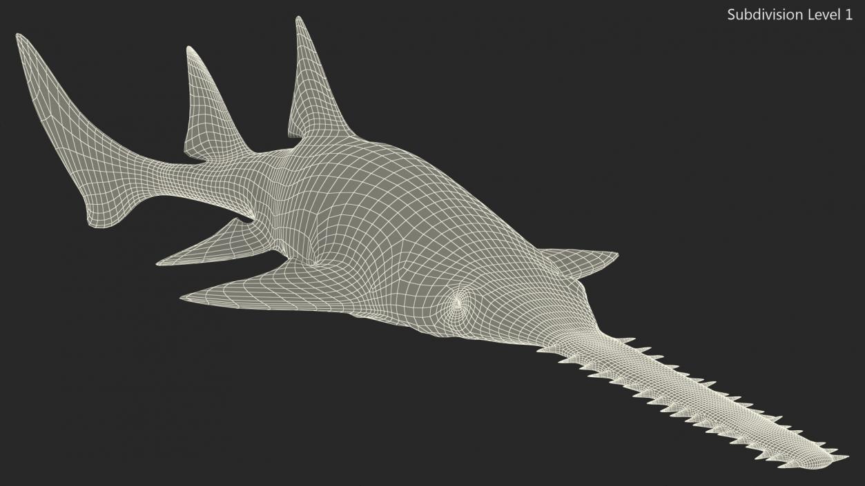 3D Sawfish Swimming Pose