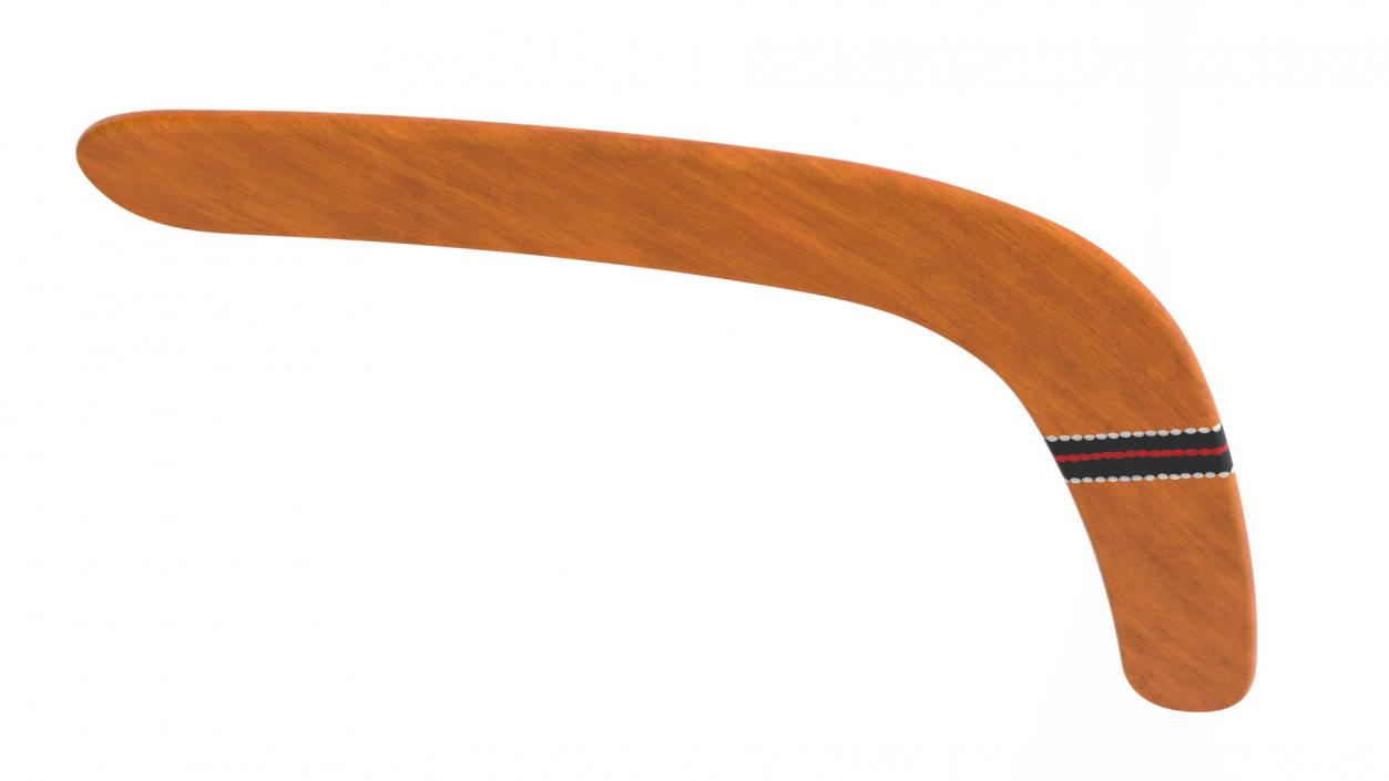 Ethno Turtle Wooden Boomerang 3D model