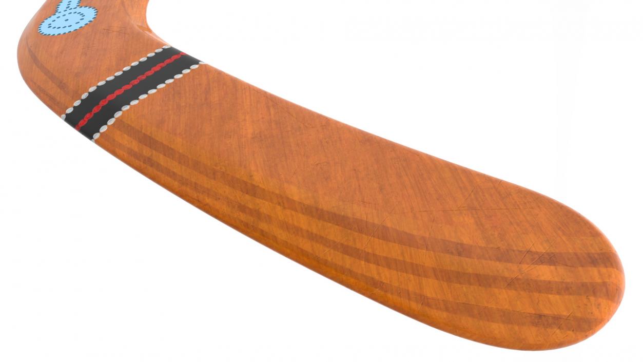 Ethno Turtle Wooden Boomerang 3D model