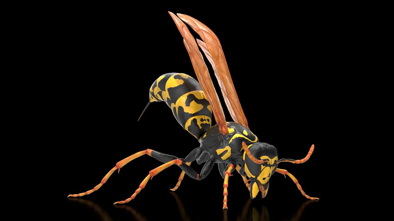 Paper Wasp Rigged 3D