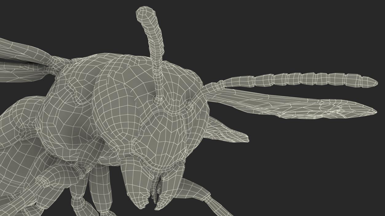 Paper Wasp Rigged 3D