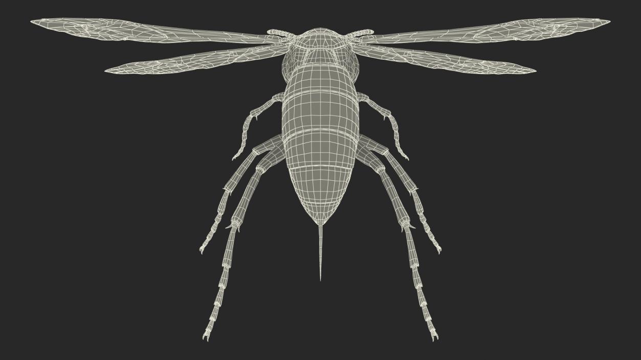 Paper Wasp Rigged 3D