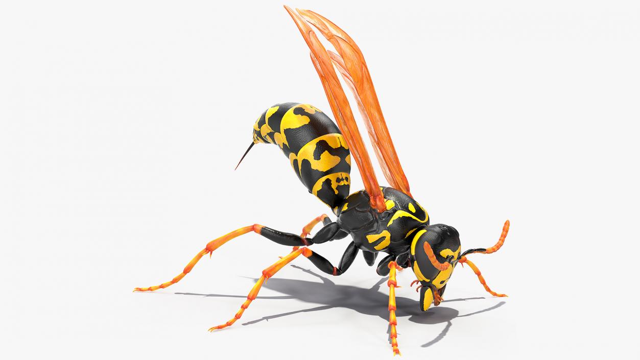 Paper Wasp Rigged 3D