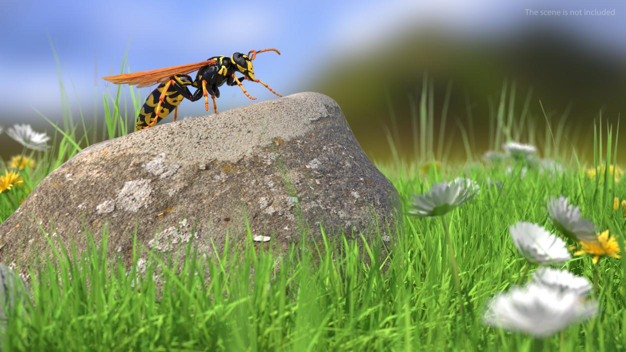 Paper Wasp Rigged 3D