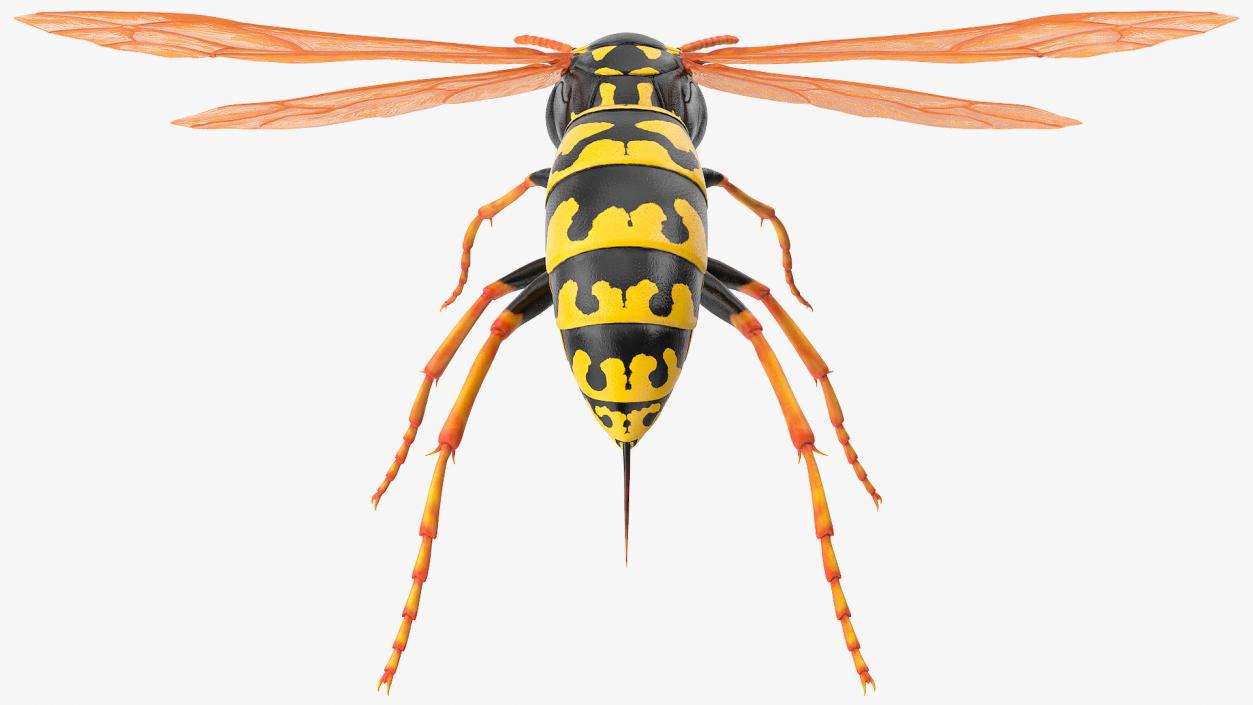 Paper Wasp Rigged 3D