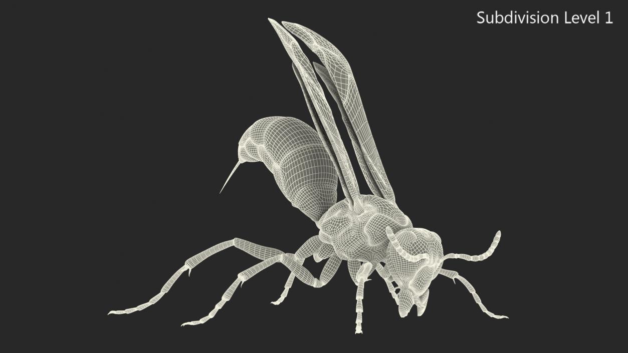 Paper Wasp Rigged 3D