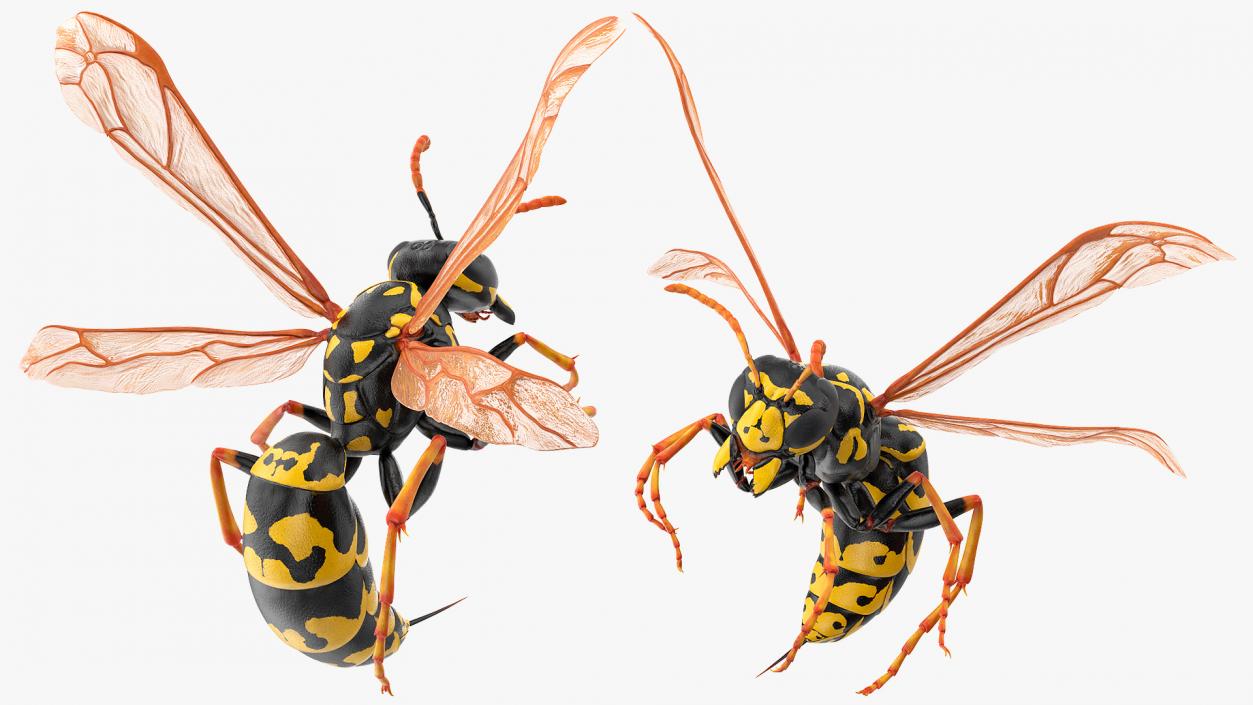 Paper Wasp Rigged 3D