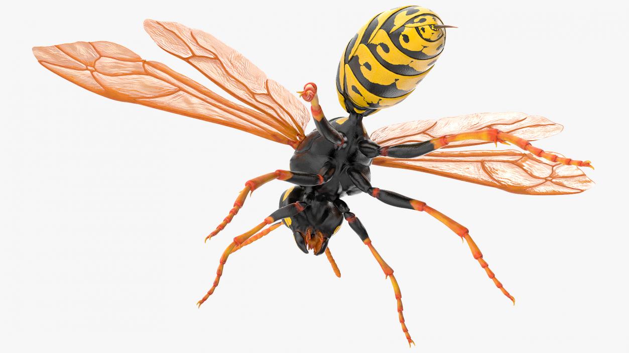 Paper Wasp Rigged 3D