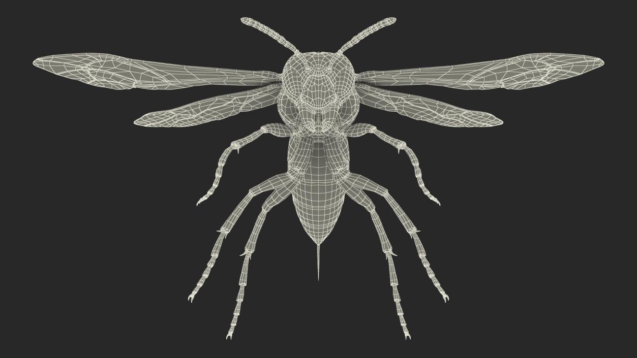 Paper Wasp Rigged 3D