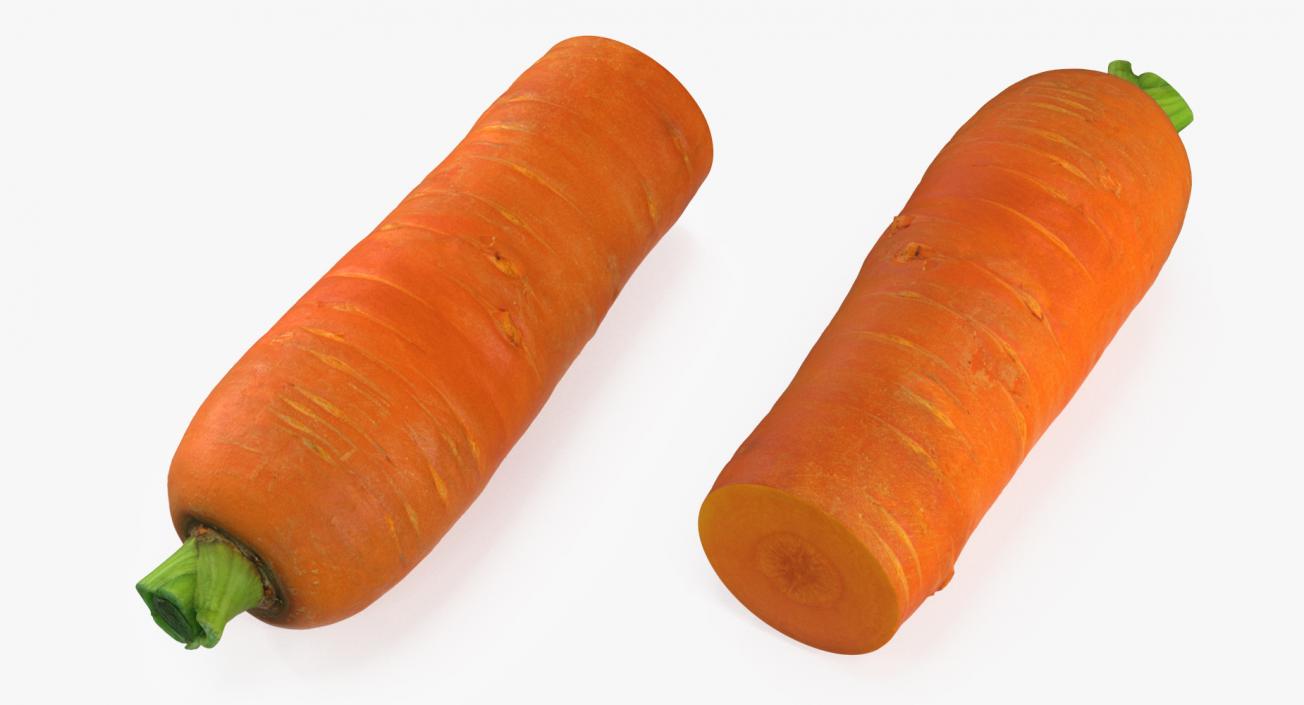 3D Half Carrot