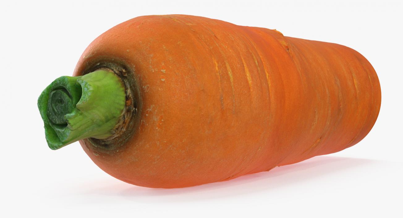 3D Half Carrot