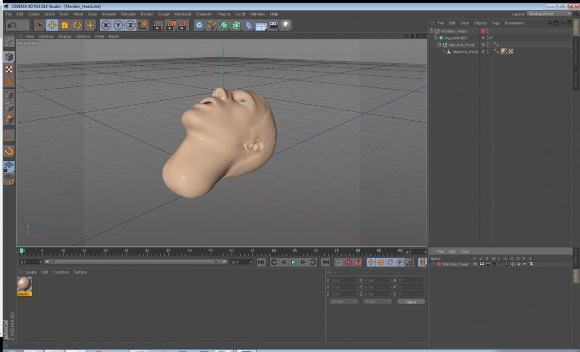 Manikin Head 3D