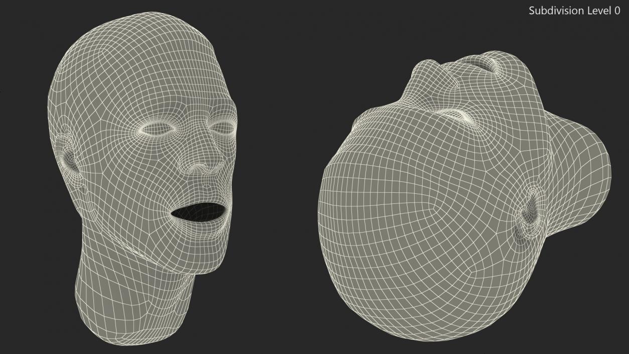 Manikin Head 3D